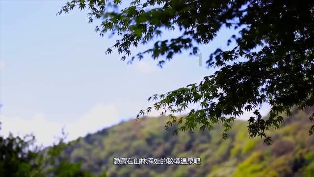 龙魂时刻